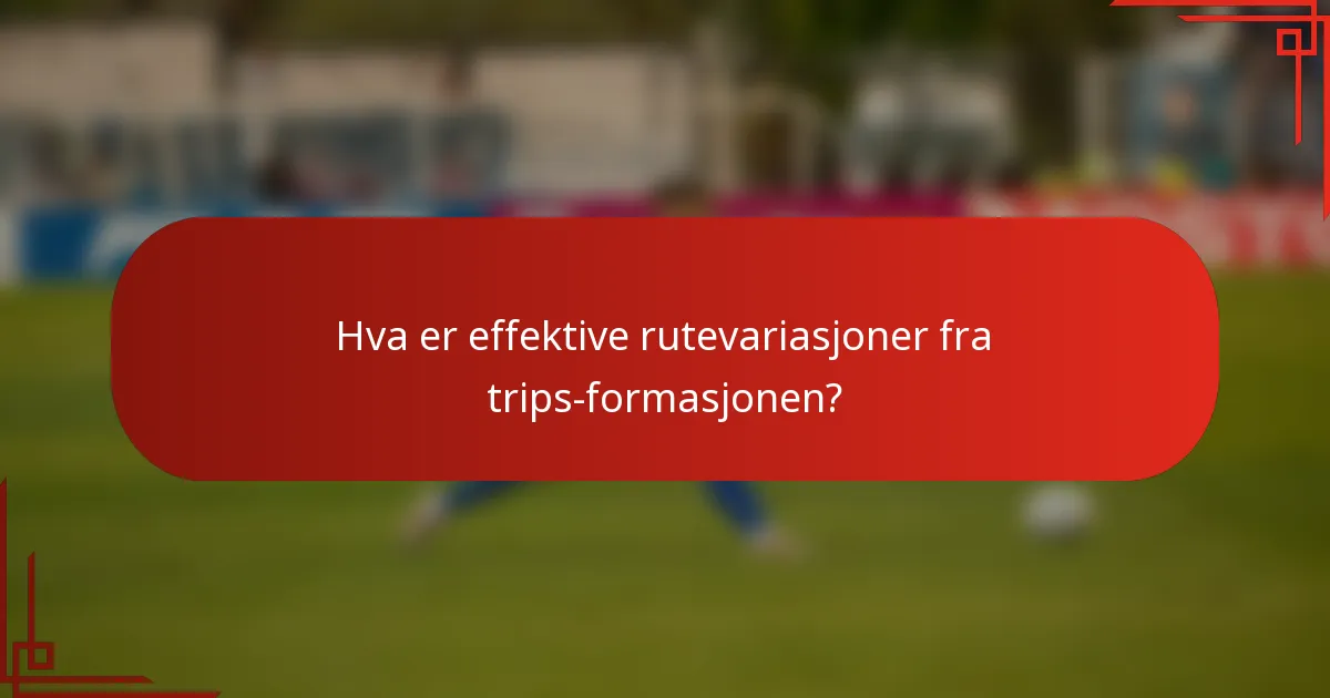Hva er effektive rutevariasjoner fra trips-formasjonen?