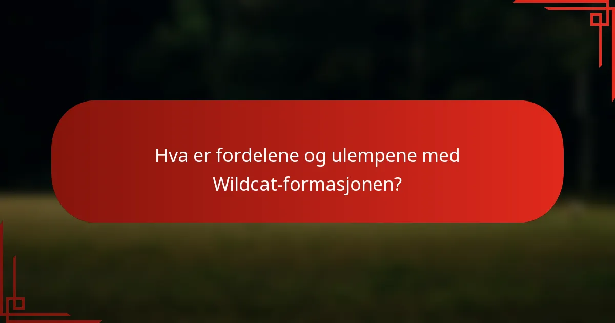 Hva er fordelene og ulempene med Wildcat-formasjonen?